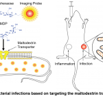 Maltohexaoase Imaging